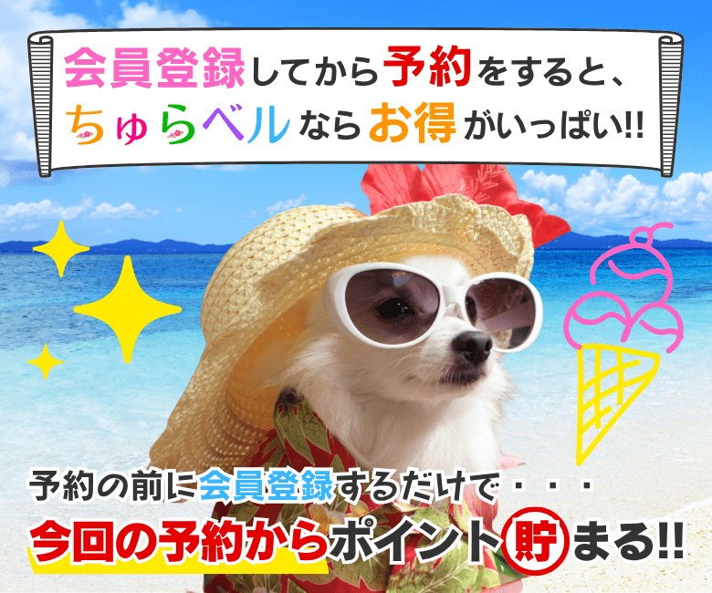会員登録してから予約をすると、ちゅらベルならお得がいっぱい!!